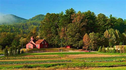 NC Farm