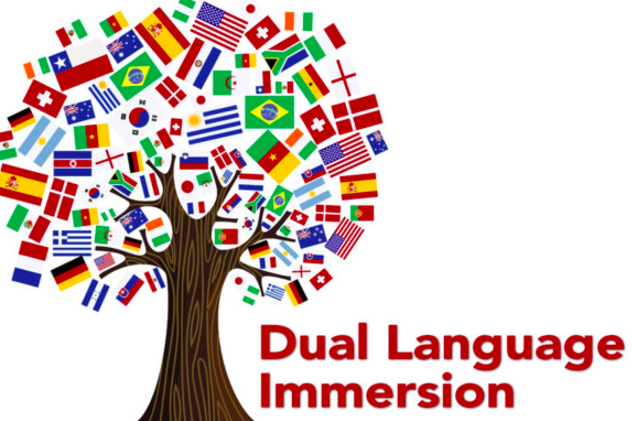  dual immersion