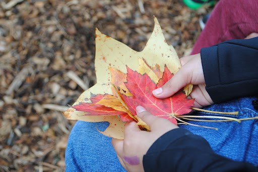  Leaves